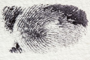 fingerprint-255899_1920